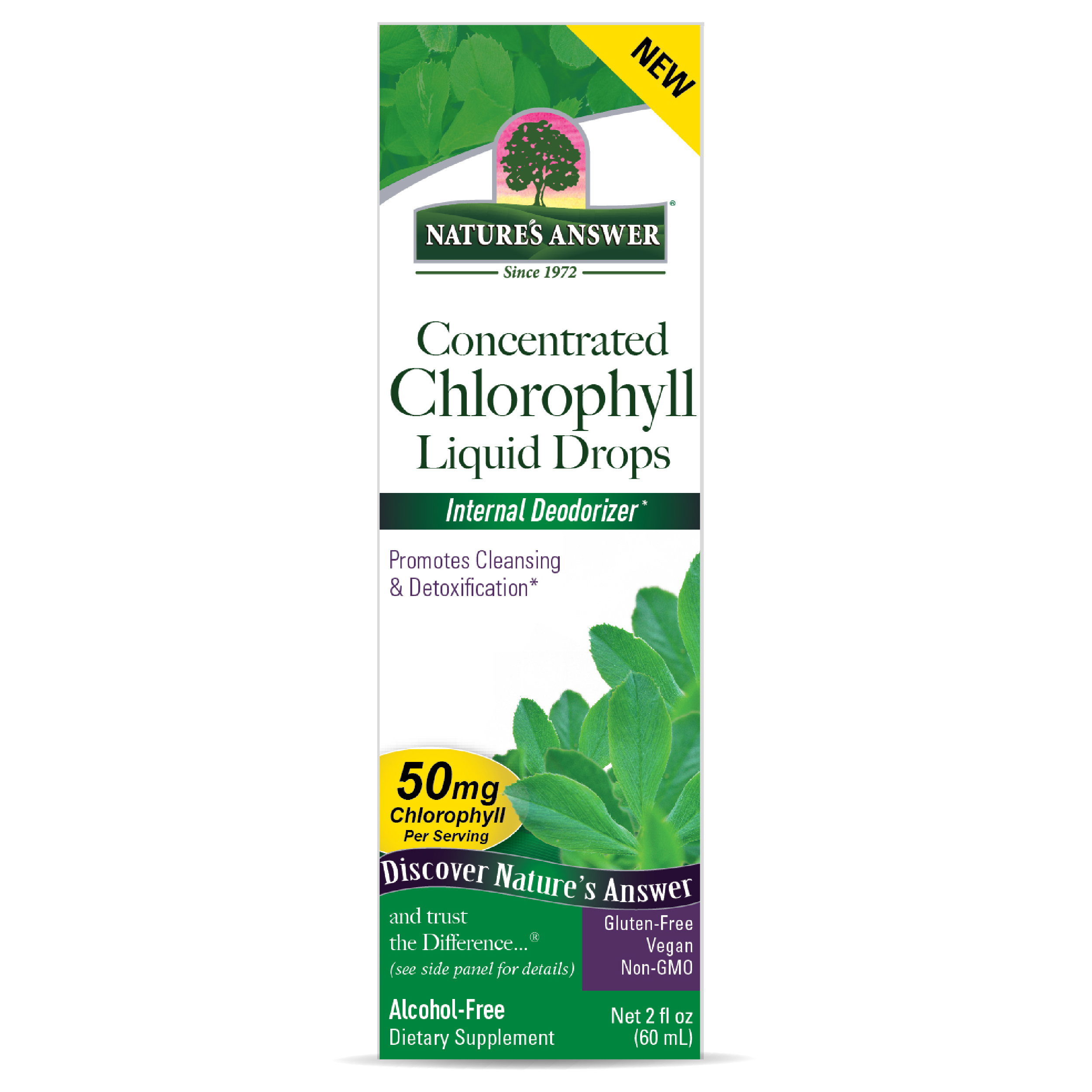 Chlorophyll Liquid Drops 2oz - Image 3